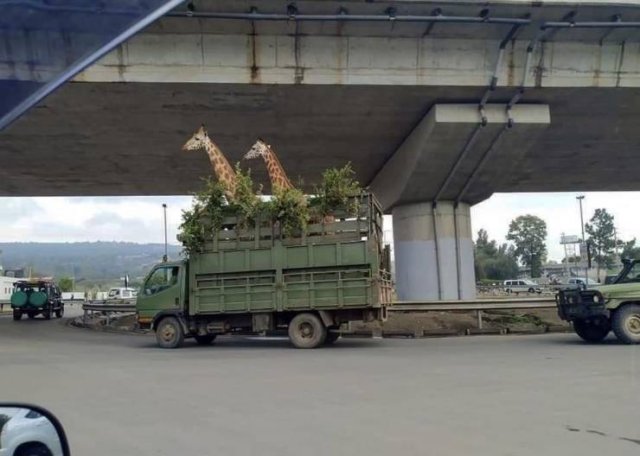 Acid Picdump 1 (92 pics)