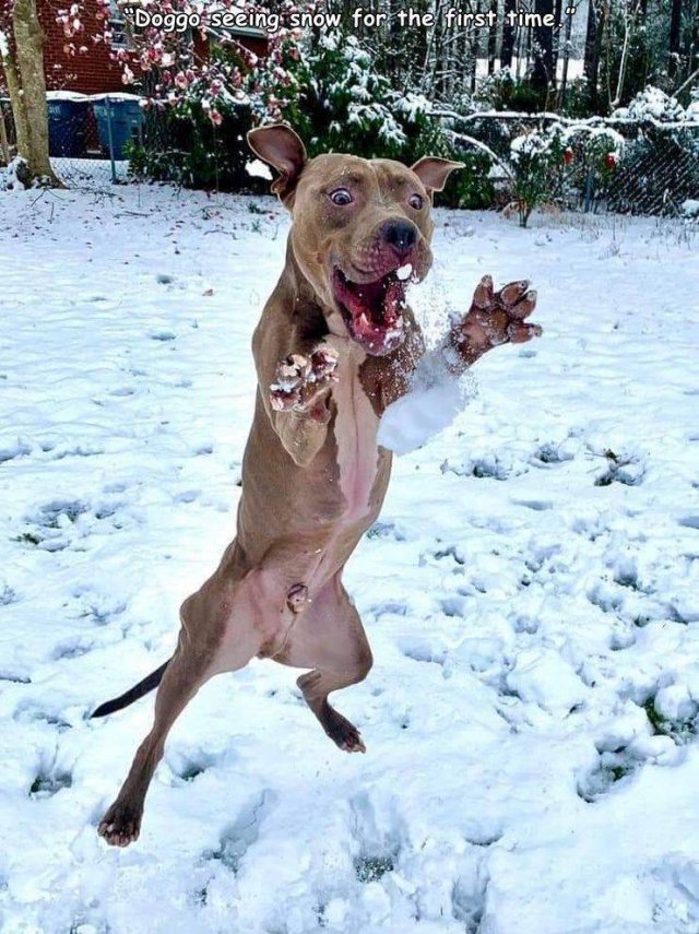 Acid Picdump 1 (92 pics)