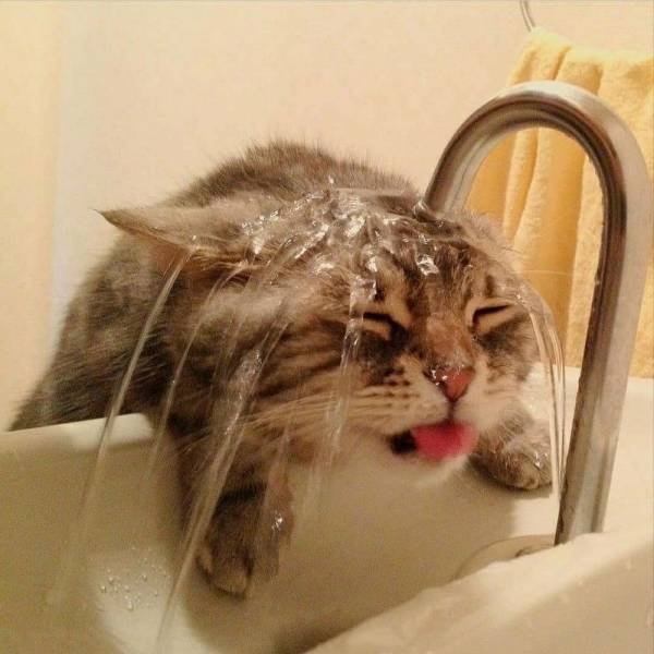 Acid Picdump 1 (92 pics)