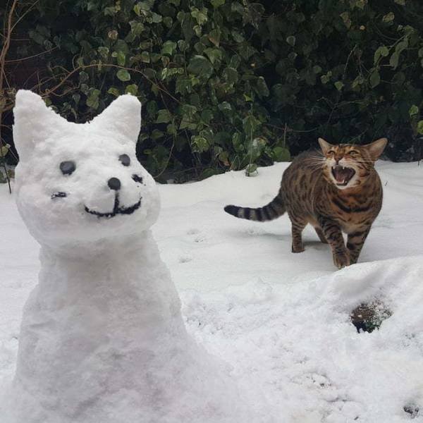 Acid Picdump 1 (92 pics)