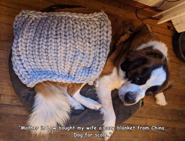 Bad Days Happen (44 pics)
