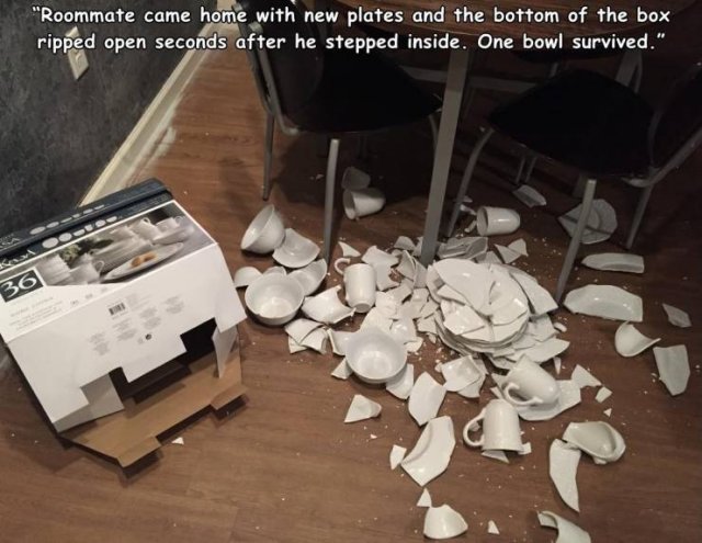 Bad Days Happen (44 pics)