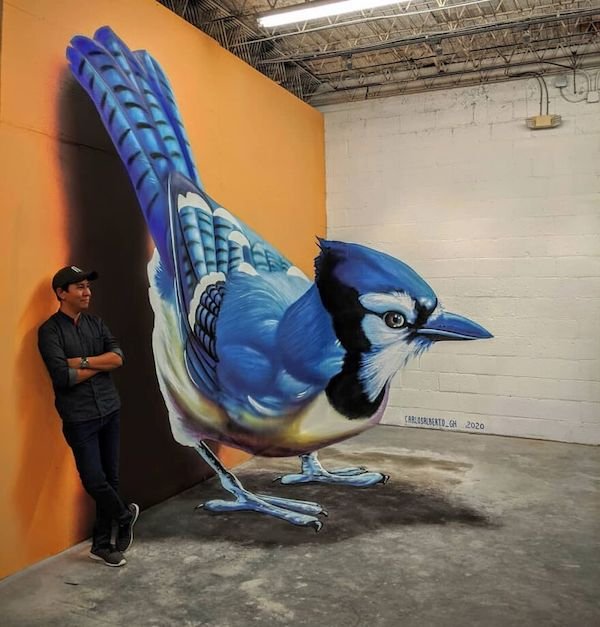 Beautiful 3D Street Art (35 pics)