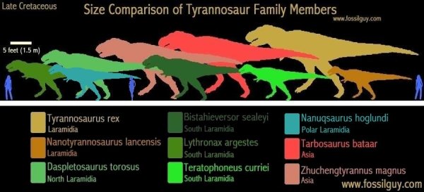 Interesting Charts (28 pics)