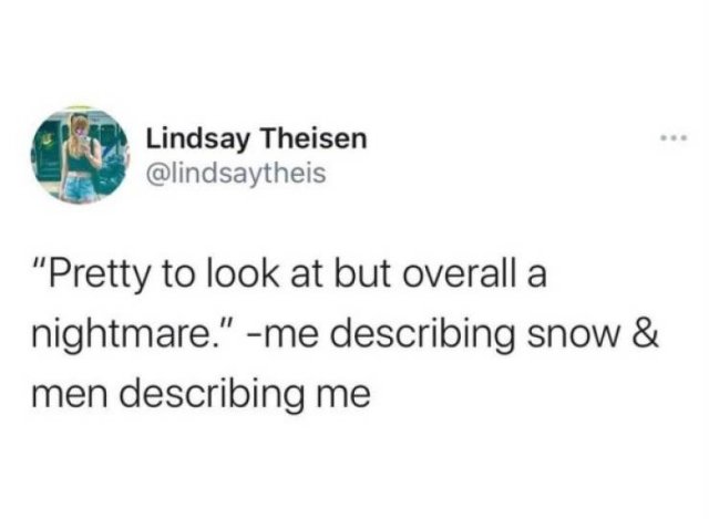 Winter Memes And Tweets (24 pics)