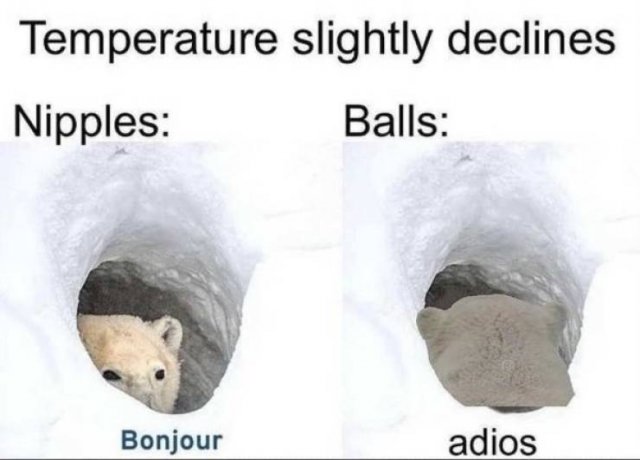 Winter Memes And Tweets (24 pics)