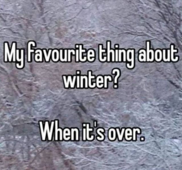 Winter Memes And Tweets (24 pics)