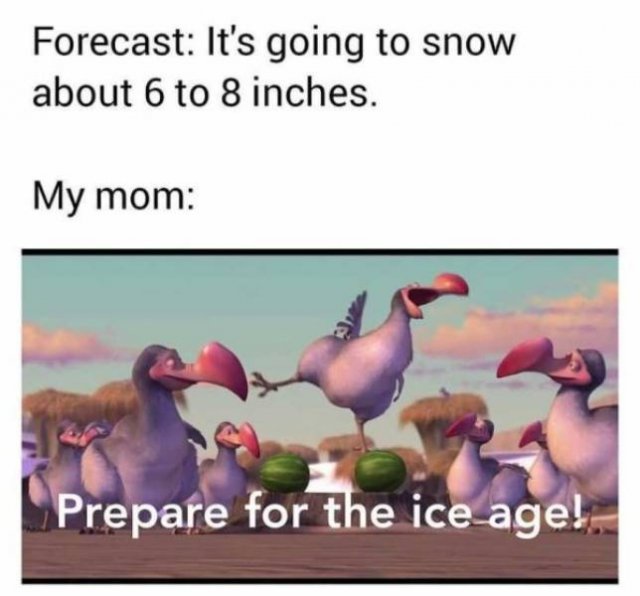 Winter Memes And Tweets (24 pics)