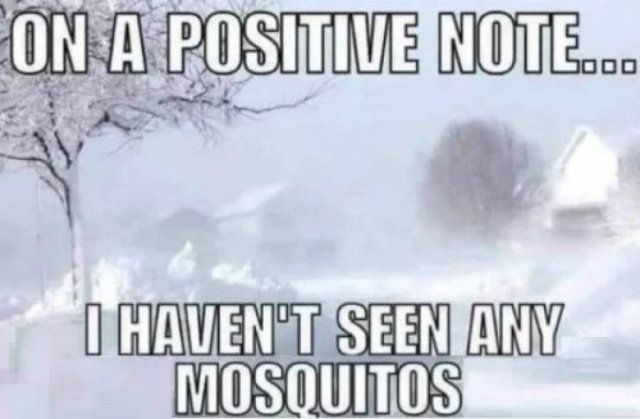 Winter Memes And Tweets (24 pics)