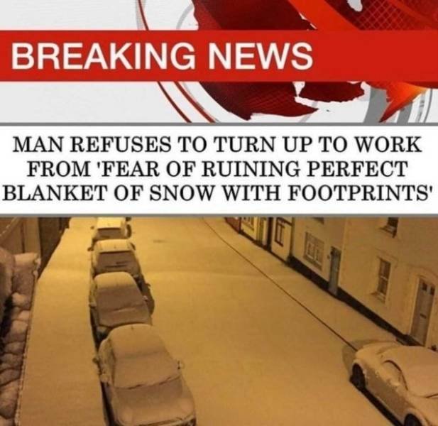 Winter Memes And Tweets (24 pics)