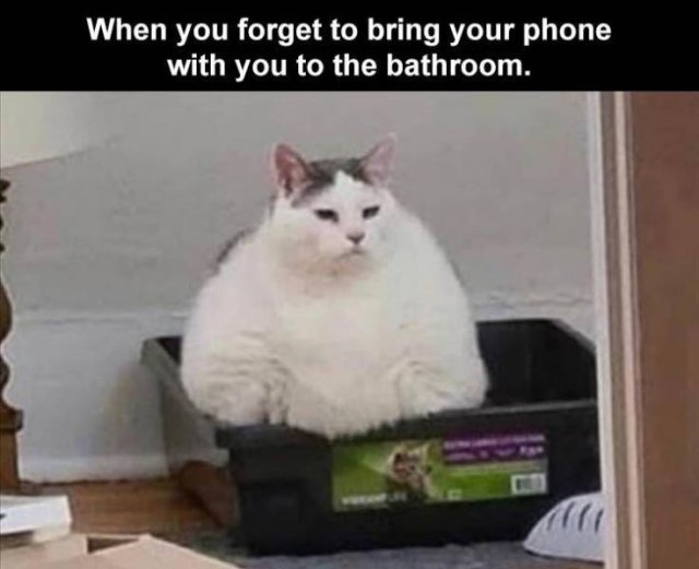 Random Funny Memes (68 pics)
