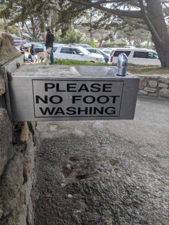 Random Funny Memes (68 pics)