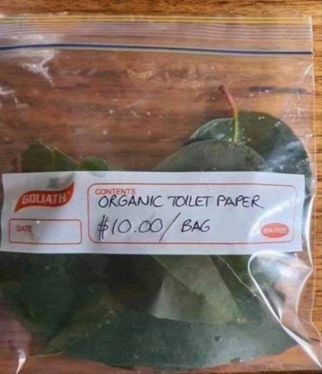 Random Funny Memes (68 pics)