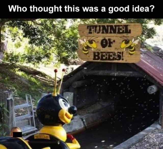 Random Funny Memes (68 pics)