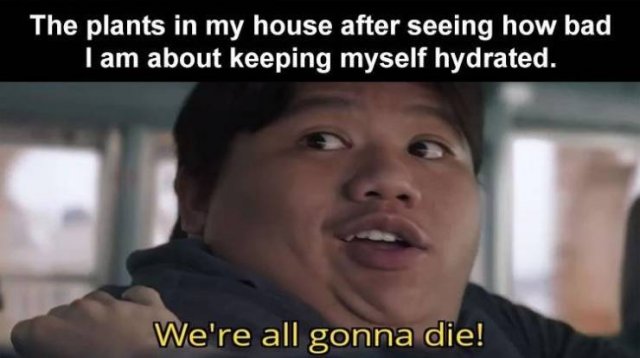 Random Funny Memes (68 pics)