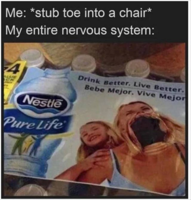 Random Funny Memes (68 pics)