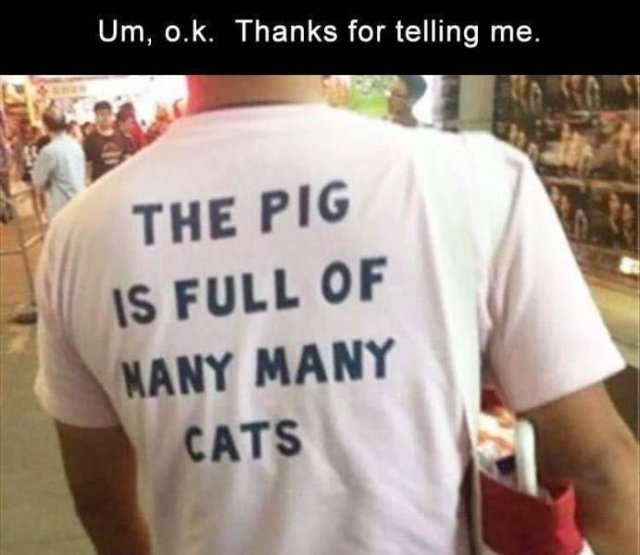 Random Funny Memes (68 pics)