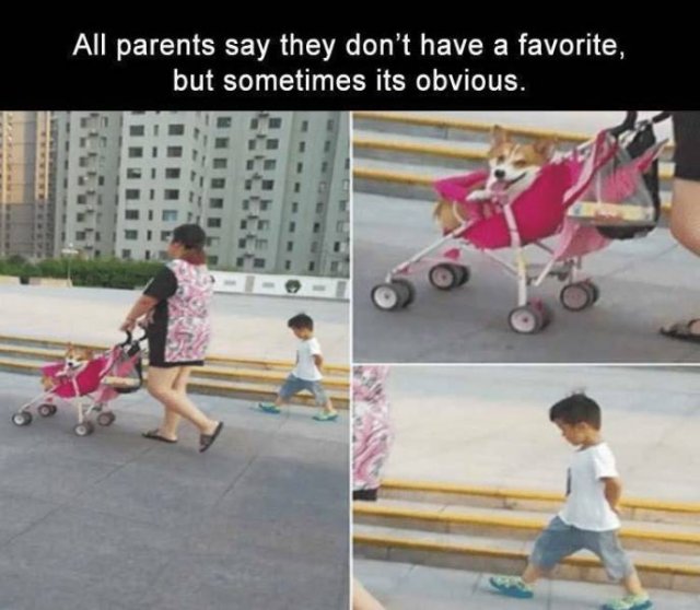 Random Funny Memes (68 pics)