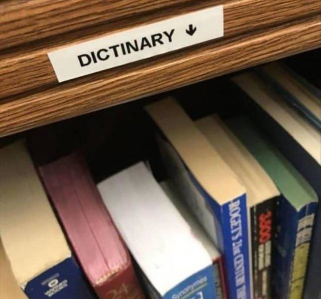 Random Funny Memes (68 pics)