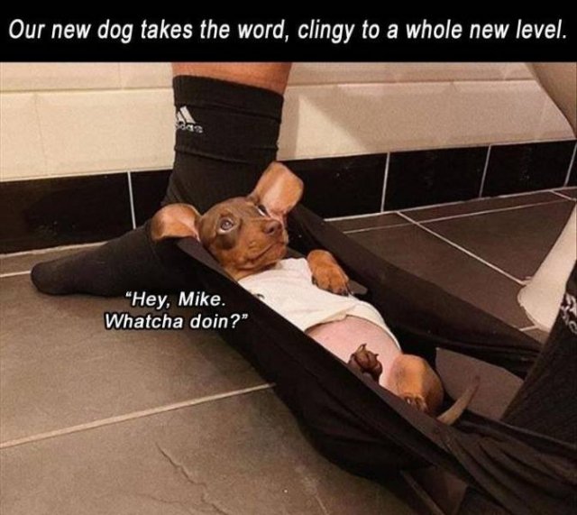 Random Funny Memes (68 pics)
