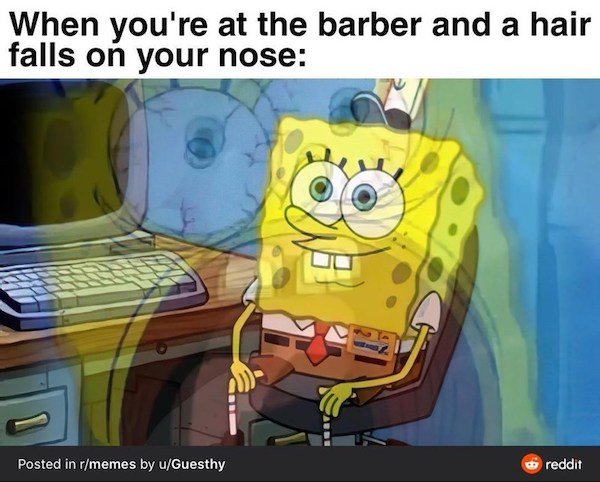 So True (37 pics)