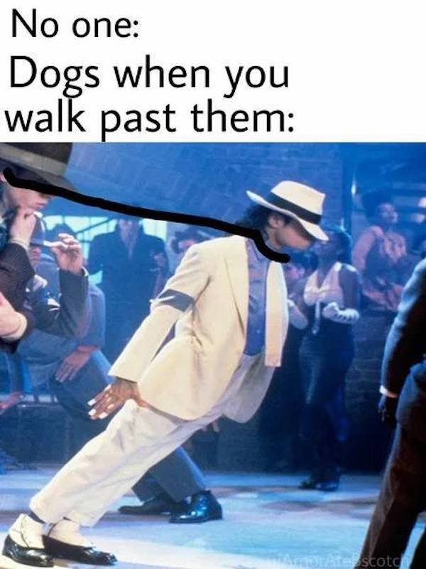 So True (37 pics)