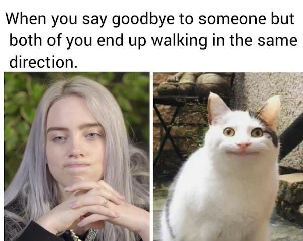 So True (37 pics)