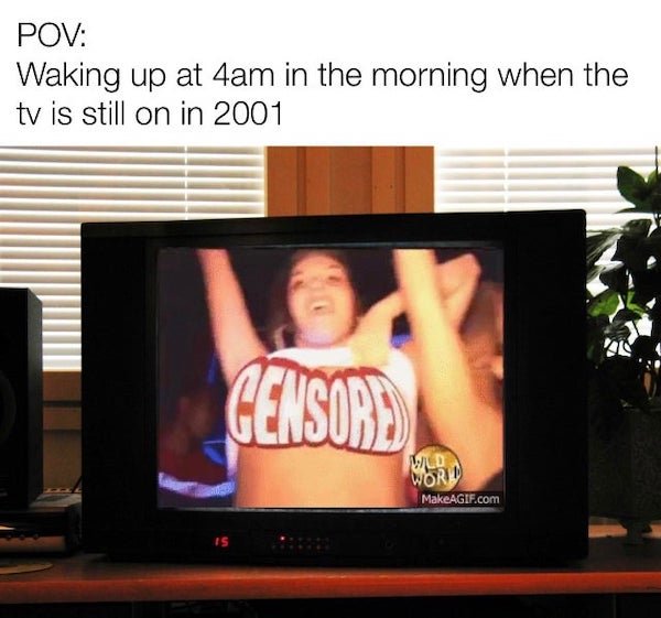So True (37 pics)