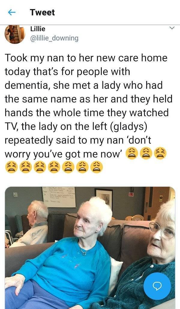Wholesome Stories (60 pics)