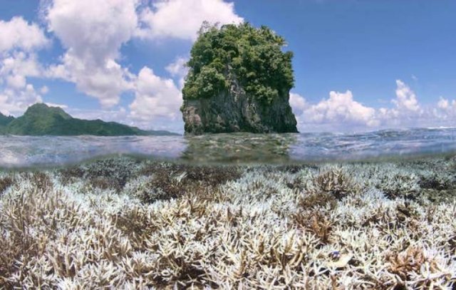 World's Climate Changes (28 pics) World's Climate Changes (28 pics)