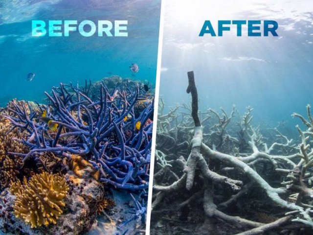World's Climate Changes (28 pics) World's Climate Changes (28 pics)