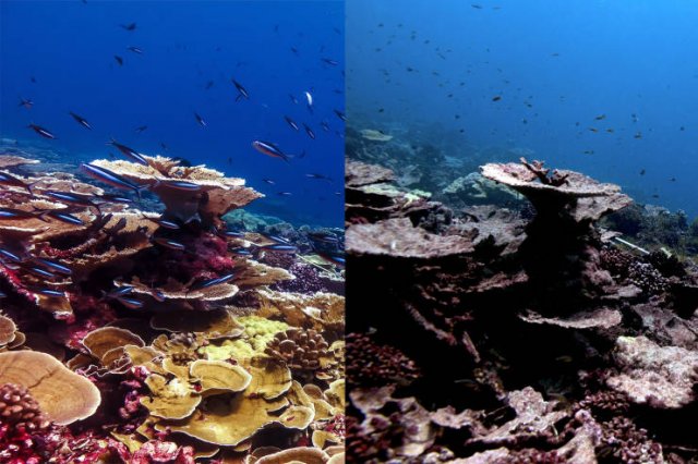 World's Climate Changes (28 pics) World's Climate Changes (28 pics)