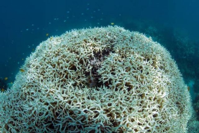 World's Climate Changes (28 pics) World's Climate Changes (28 pics)