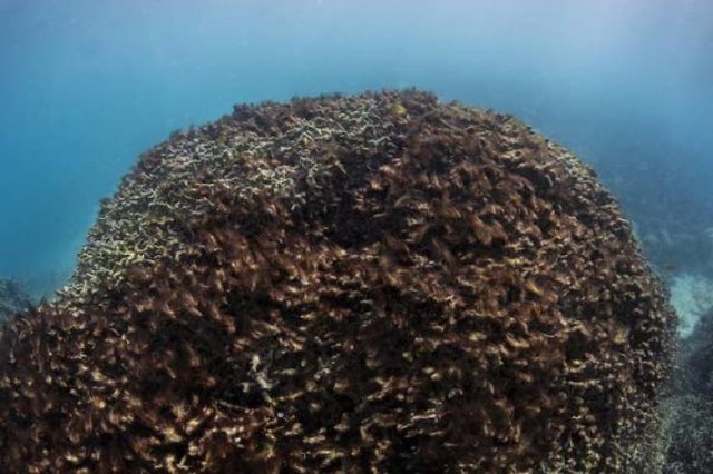 World's Climate Changes (28 pics)