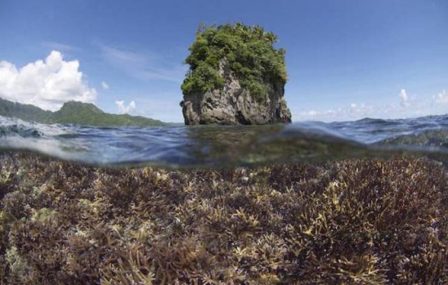 World's Climate Changes (28 pics) World's Climate Changes (28 pics)