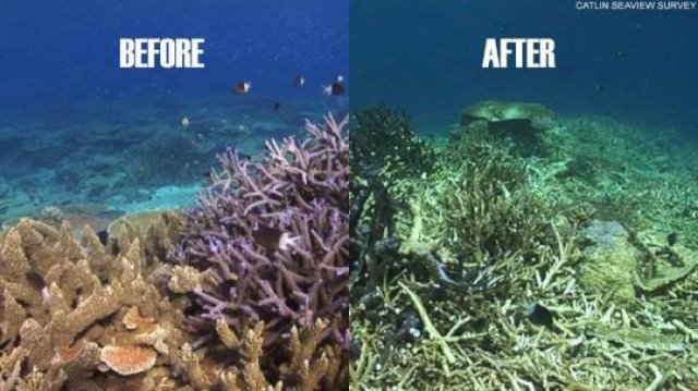 World's Climate Changes (28 pics) World's Climate Changes (28 pics)