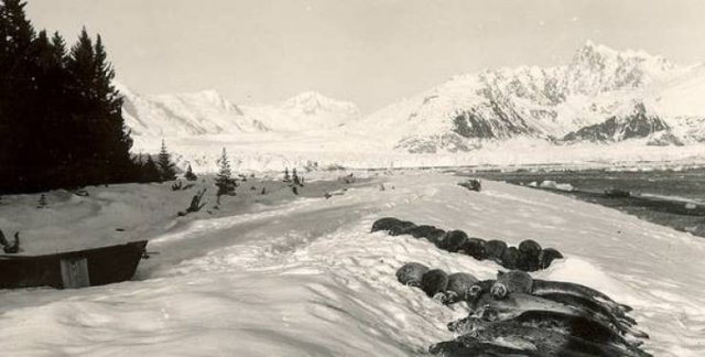 World's Climate Changes (28 pics) World's Climate Changes (28 pics)