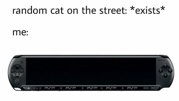 Cat Memes (30 pics)