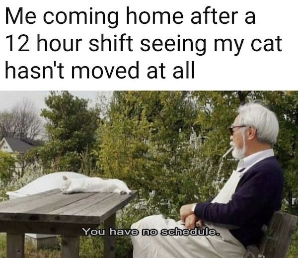 Cat Memes (30 pics)