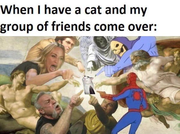 Cat Memes (30 pics)