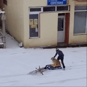 Acid Gifdump, February 5 (25 gifs)