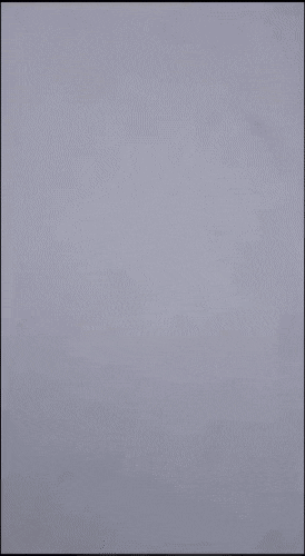 Acid Gifdump, February 5 (25 gifs)