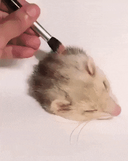 Acid Gifdump, February 5 (25 gifs)