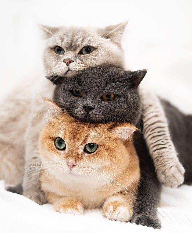 No Words Needed For These Pictures (44 pics)