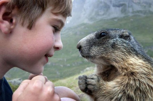 No Words Needed For These Pictures (44 pics)