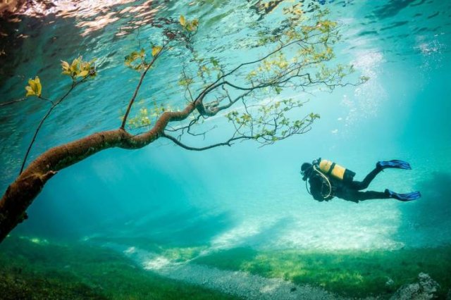 No Words Needed For These Pictures (44 pics)
