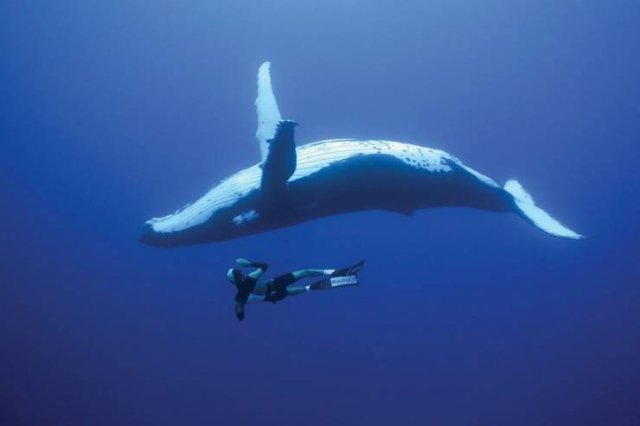 No Words Needed For These Pictures (44 pics)