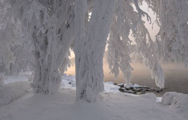 No Words Needed For These Pictures (44 pics)