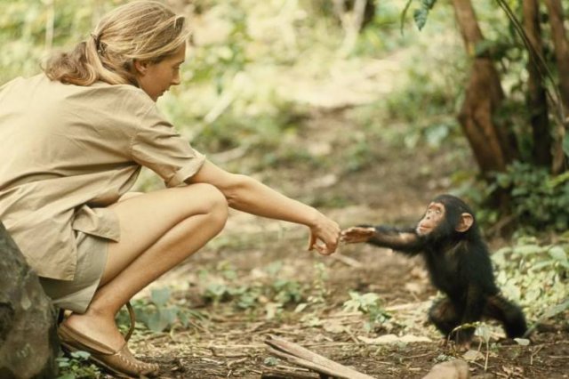 No Words Needed For These Pictures (44 pics)