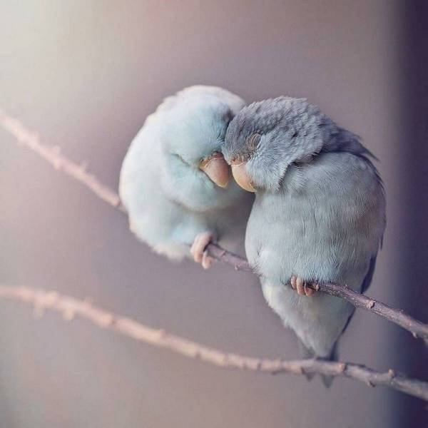 No Words Needed For These Pictures (44 pics)